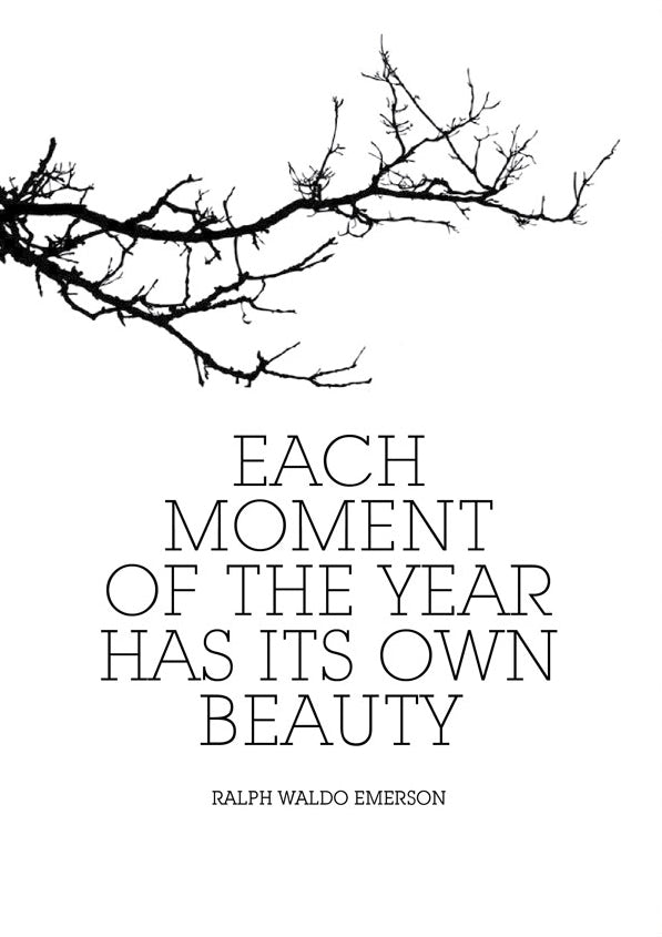 Each moment of the year has it's own beauty