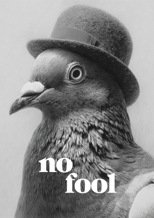 no fool