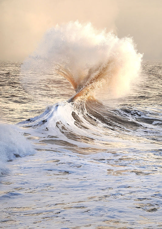 Heugh Wave Series 2.1