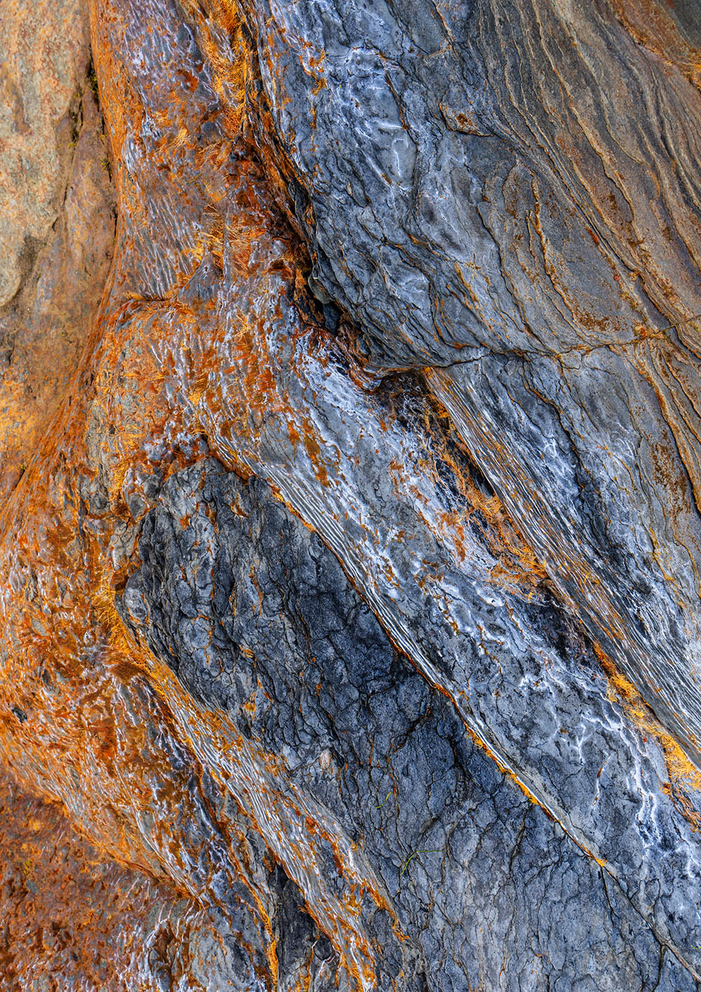 Abstract Rock Art 1