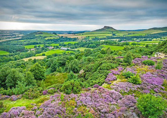 Roseberry Topping from Cockshaw Quarry
