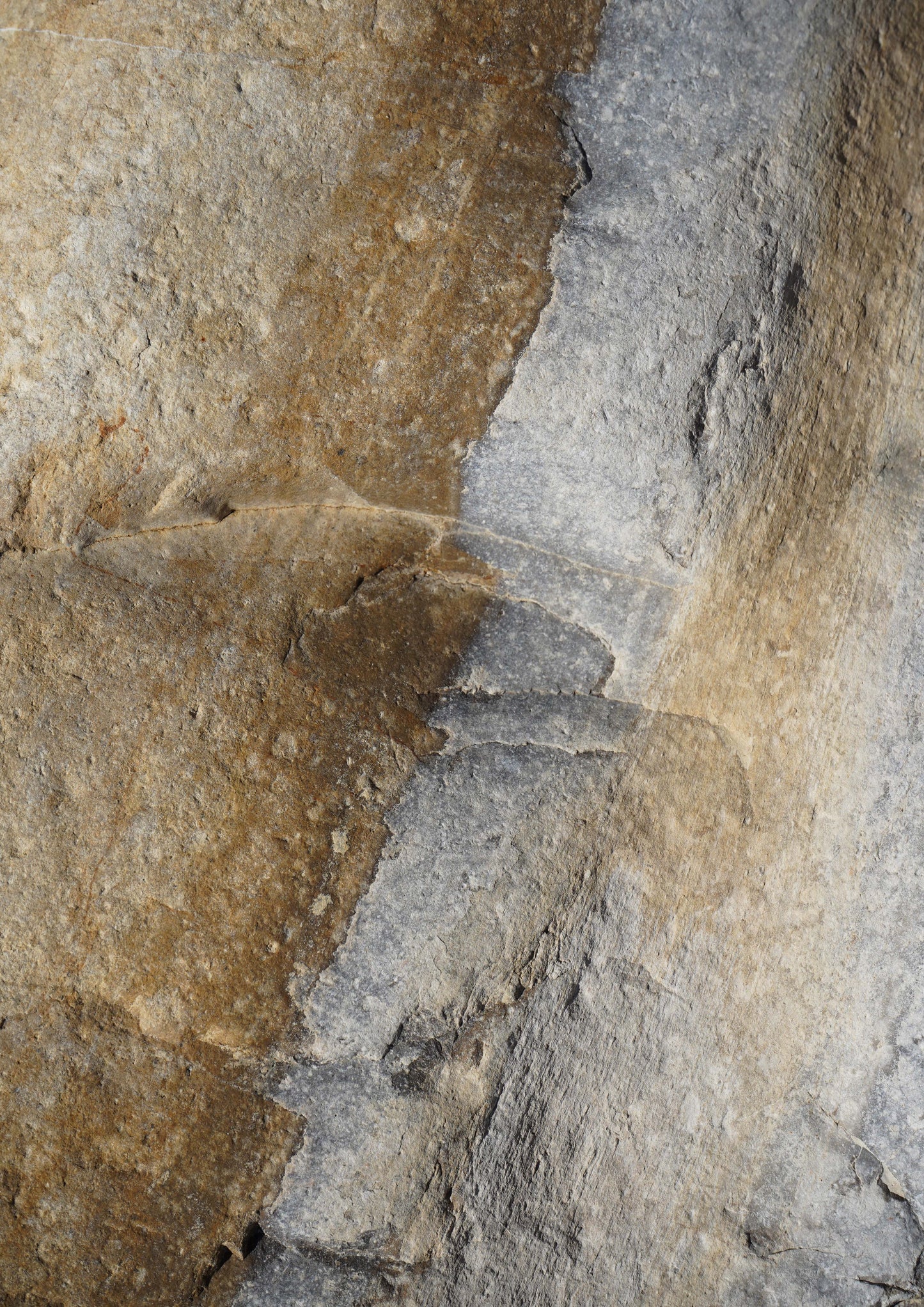 Abstract Rock Art 3