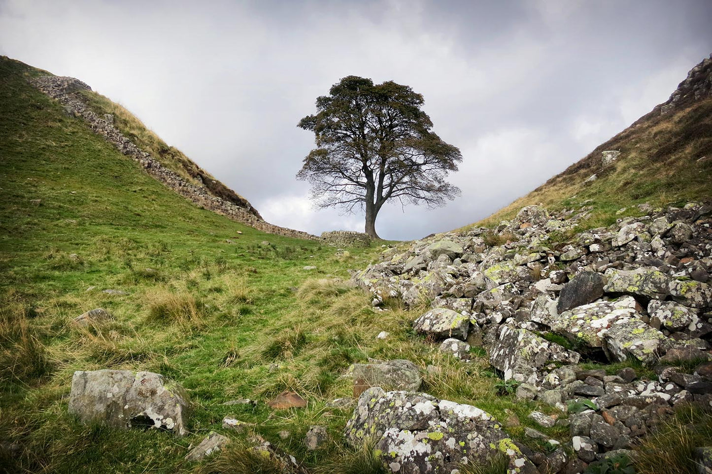 Sycamore Gap on Hadrian's Wall